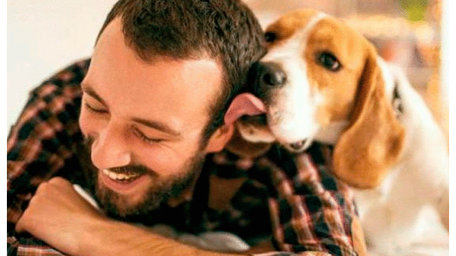 Tener perros es bueno para el corazón, según estudio. Foto: difusión