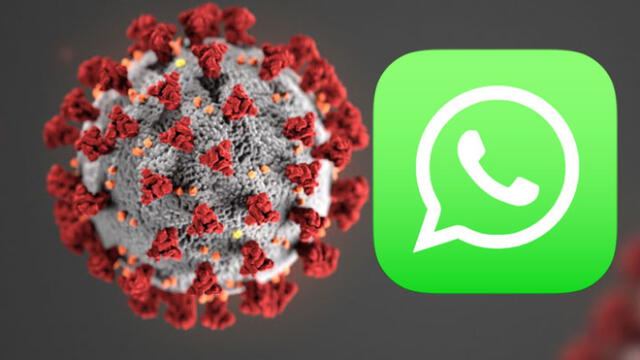 WhatsApp brinda información sobre el coronavirus.