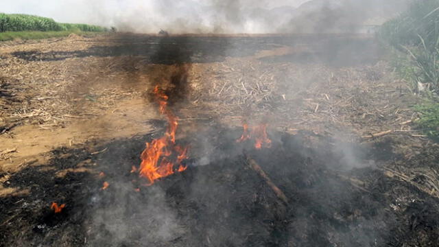 Trujillo: empresa quemaba terrenos de caña de azúcar  [VIDEO]