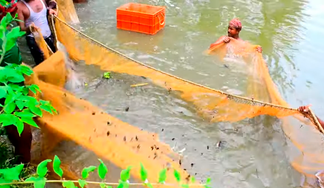 YouTube viral: arrojan enorme red en profundo lago y miles de misteriosas criaturas emergen
