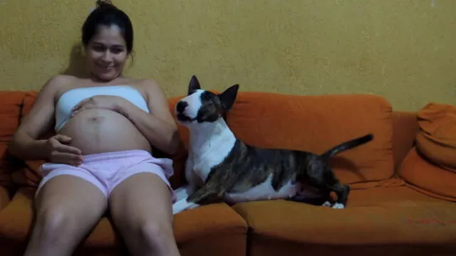 Facebook: Bull terrier protege a su dueña embarazada y video emociona a todos
