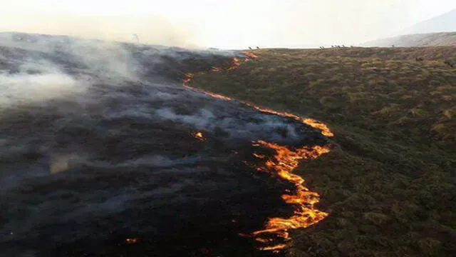 Bolivia: piden ayuda internacional tras incendio forestal