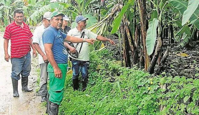 Agricultores de Tumbes  aún esperan bono del gobierno central 