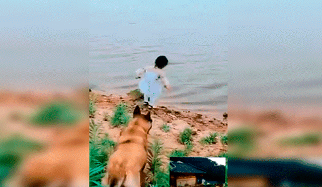 Facebook viral: niña se aproxima a peligroso río para sacar pelota y su perro llega a su rescate [VIDEO] 