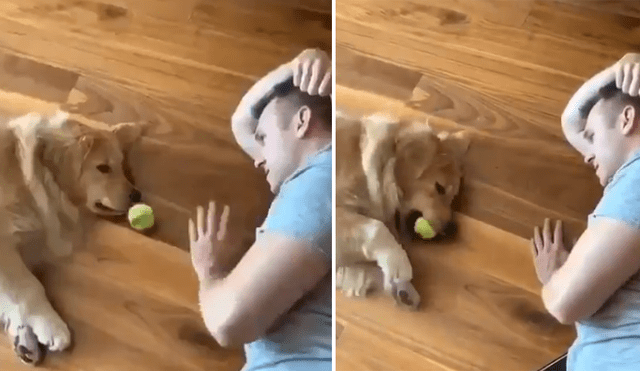 A través de Facebook se ha vuelto viral la curiosa reacción de un soñoliento perro al ver que su dueño quería jugar con él.