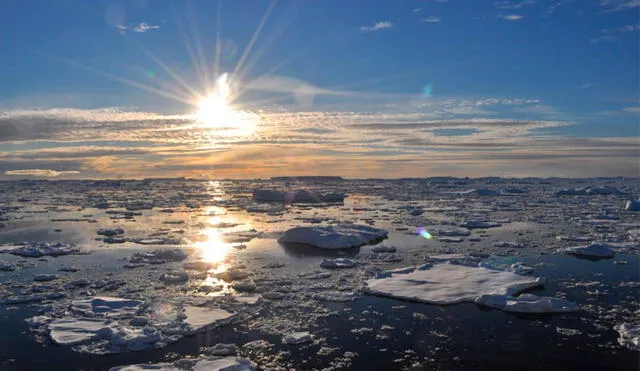 Los científicos creen que es la mayor temperatura registrada en el continente helado. Foto: Difusión.