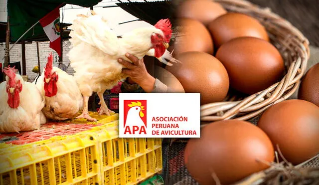 Asociación Peruana de Avicultura informó a la población sobre el consumo de pollo y huevos. Foto: composición de Gerson Cardoso / La República / Andina