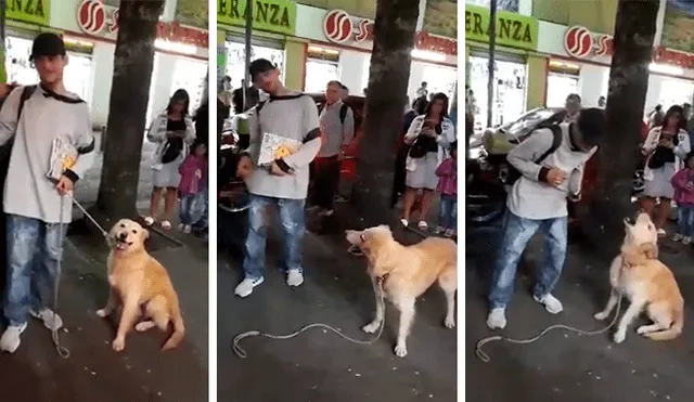 En Facebook, un joven ambulante realizó un espectáculo en la calle junto a su perro que impactó con su acto.