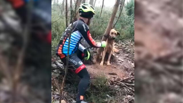 Facebook: Ciclistas rescatan a perro que iba a morir de hambre y sed en pleno bosque