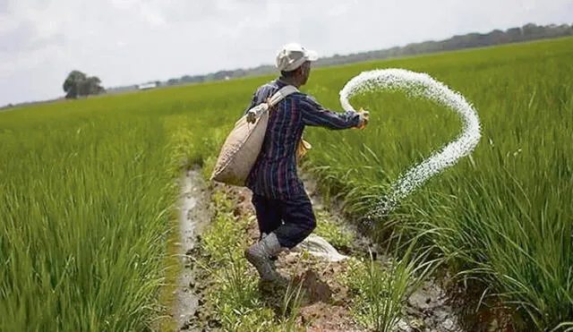 La compra. Agro Rural adquirirá 44.000 toneladas de urea por más de US$ 25 millones. Foto: difusión