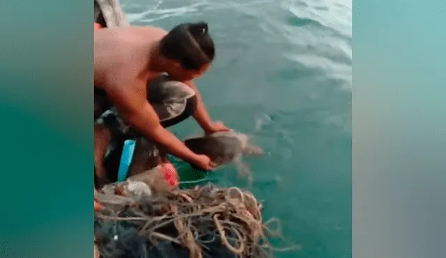 Un par de hombres se ganaron los aplausos de miles de usuarios en YouTube al rescatar de la muerte a una indefensa criatura que terminó atascada en redes de pesca.