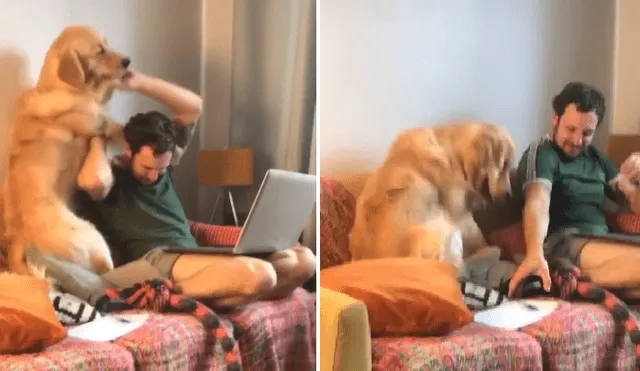 Desliza para ver más imágenes de este travieso perro que hizo reír a todos. (Foto: captura / TIkTok)