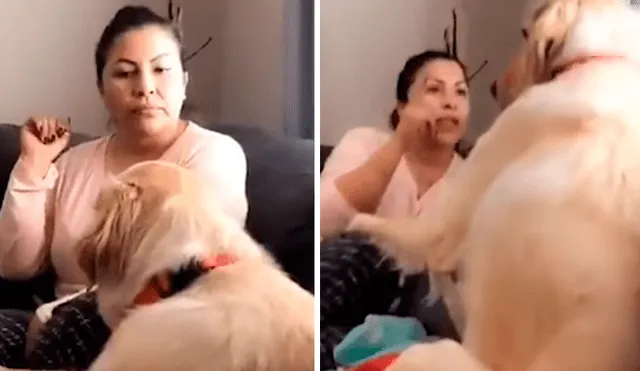 La mujer protagonizó una divertida ‘pelea’ con su perro, luego de que este le respondiera de una peculiar forma cuando lo estaba regañando. La escena se ha hecho viral en Facebook