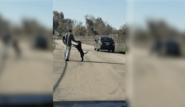 YouTube viral: indignación de hombre que abandonó a su perro en carretera de Estados Unidos [VIDEO]