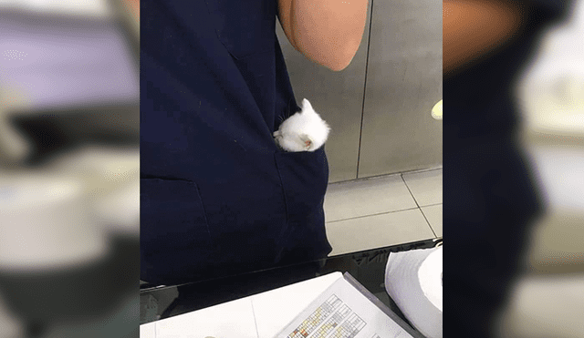 Facebook viral: pensaron que tenía un 'pañuelo', pero descubren que se trataba de un tierno animal [VIDEO]