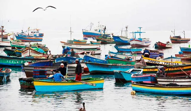 Gremio de pescadores incluye diferentes actividades. (Foto: Andina)