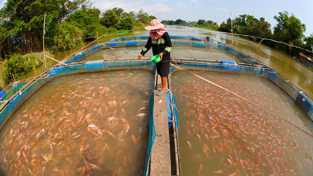 La innovación en pesca y acuicultura