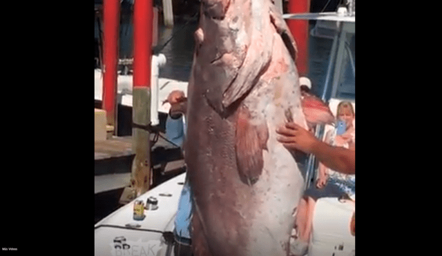 YouTube viral: pescadores quedan aterrados al ver misteriosa criatura que salió del océano [VIDEO]