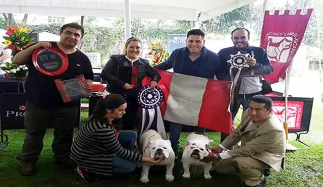 Bulldogs peruanos se convierten en campeones del ‘Bulldog World Championship 2017’