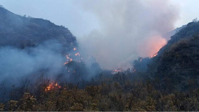 Incendios en Bosque de Chinchay pone en peligro vida de animales. Foto: Radio Titanka.