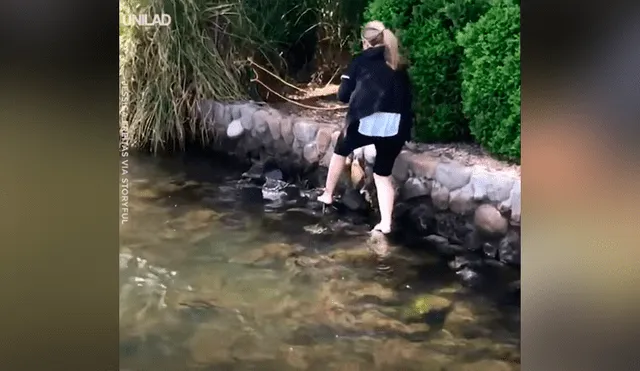 Oyen desgarradores sonidos en laguna, se acercan y rescatan a ciervo bebé [VIDEO] 
