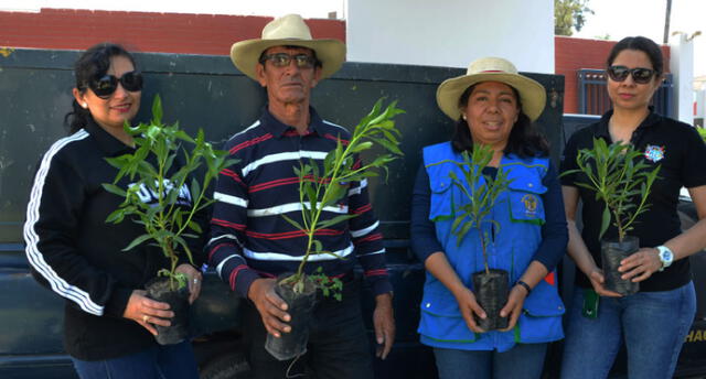 Proyecto universitario donó más de mil árboles en favor del medio ambiente en Arequipa