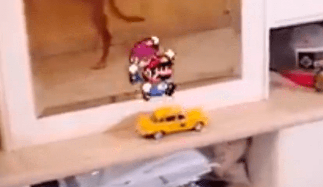 Video viral en Facebook muestra cómo Mario logra escapar de la pantalla de una TV.