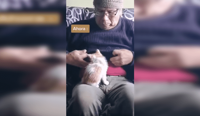Desliza las imágenes hacia la izquierda para conocer la amorosa amistad de un señor con un pequeño gato. Foto: Captura.