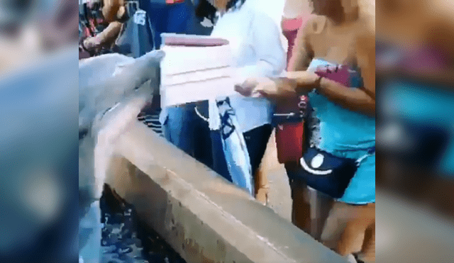 YouTube viral: mujer pasa vergüenza en excursión por la culpa de 'travieso' delfín [VIDEO] 