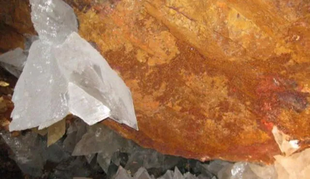 Encuentran microbios de más de 10 000 años en cuevas de México