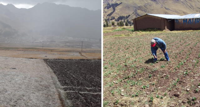 Cusco: Intensa granizada dañó terrenos de cultivo en comunidades de Marangani
