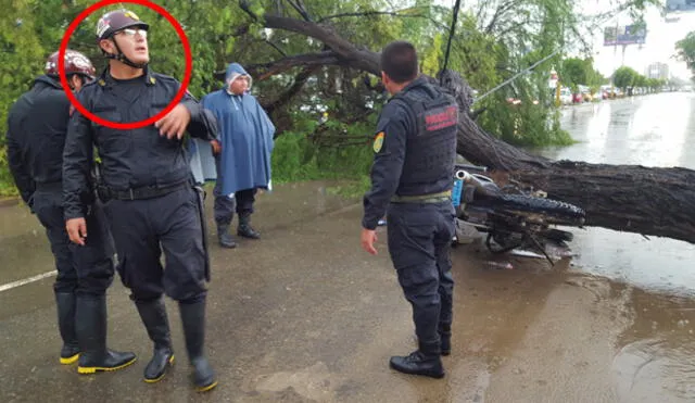 Policía salvó de morir tras caída de un árbol en Chiclayo