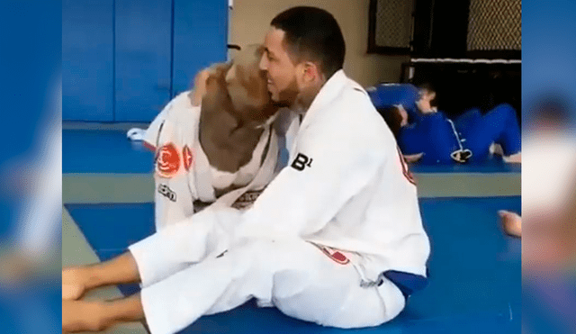 Facebook: Profesor de Jiu Jitsu enseña artes marciales a su pitbull en pleno Dojo [VIDEO]