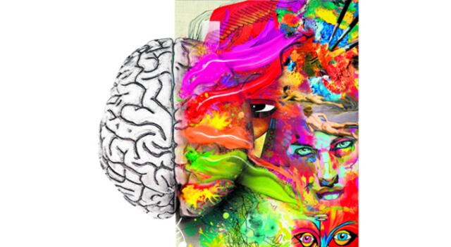 El cerebro, una obra de arte