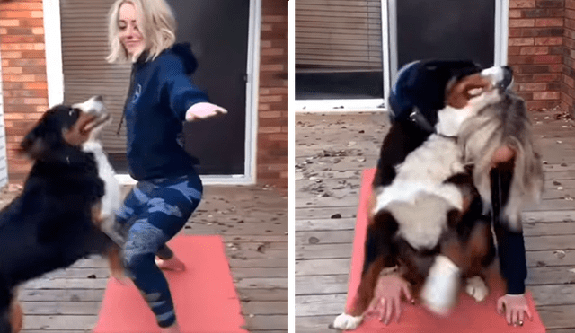 En Facebook, una joven intentó realizar un tutorial de yoga en su casa y no imaginó que su perro lo evitaría.