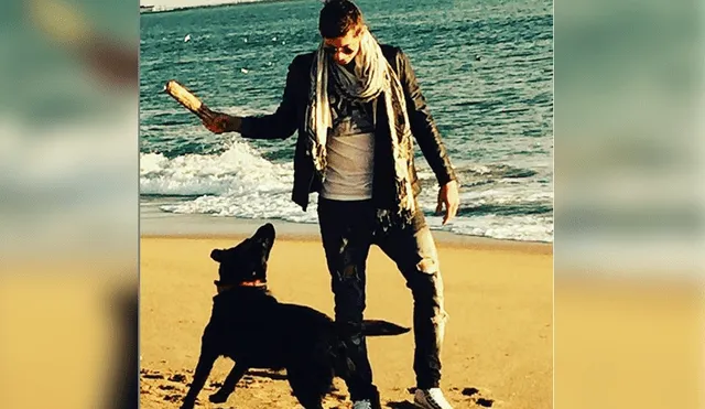 La enternecedora foto de 'Nala', la mascota de Emiliano Sala que aún lo espera [FOTO]