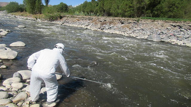Con un equipo multiparámetro, los especialistas evaluaron el nivel de oxígeno disuelto, conductividad eléctrica, acidez y temperatura del río Chili.