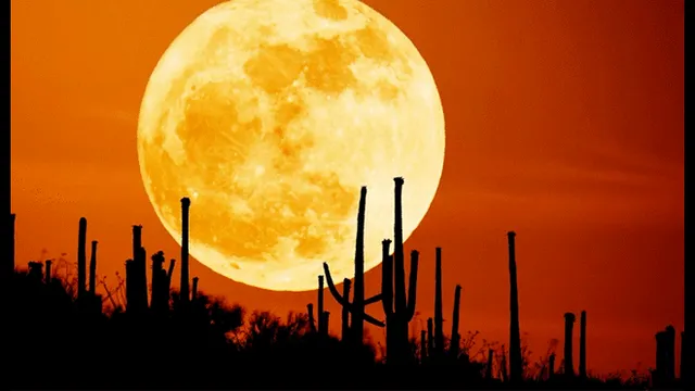 Viernes 13: ¿Qué es la ‘luna de cosecha’ y por qué la veremos nuevamente en 30 años?