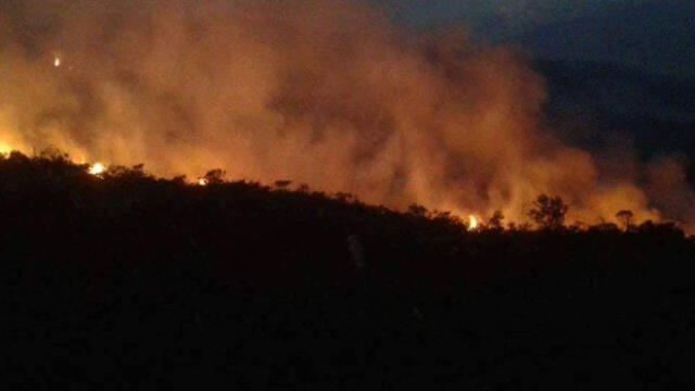Chachapoyas: reportan incendio forestal cercano a zona de fortaleza de Kuelap