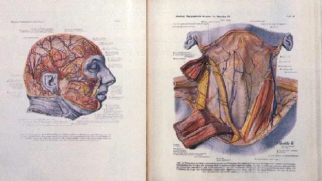 Más de 60 años después, el atlas sigue siendo uno de los mejores recursos para obtener información visual para trabajos anatómicos y quirúrgicos detallados