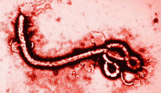 El último 1 de junio, la República Democrática del Congo (RDC), en África, declaró una nueva epidemia de ébola tras el rebrote de un foco en el noreste del país. (Foto: RTVE)