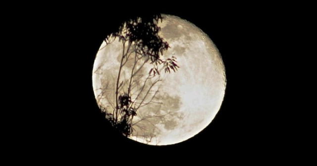 La 'Superluna de nieve' también es conocida como ‘Luna de Hambre’, debido a las fuertes nevadas que se presentan entorno al fenómeno.(Foto: Miradas Colombia)