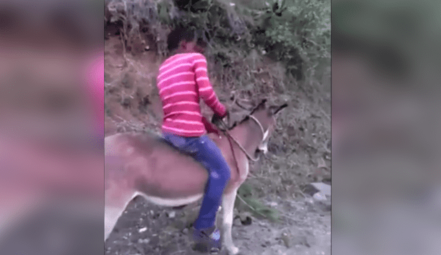 YouTube: niño se acerca a su burro, lo monta y ambos huyen a toda velocidad [VIDEO] 