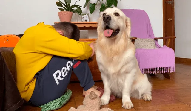 En YouTube se hizo viral la tierna reacción de un perro al notar que su dueño estaba triste.