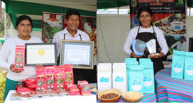 Productores de la selva puneña se reunirán en Juliaca por la semana del café y el cacao