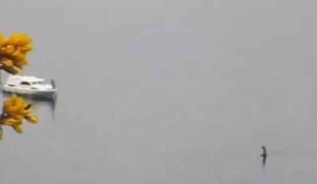 YouTube: Increíble video muestra el 'retorno' del monstruo del lago Ness 