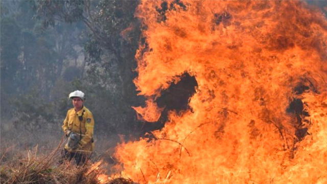 Incendios forestales en Australia. Foto: EFE
