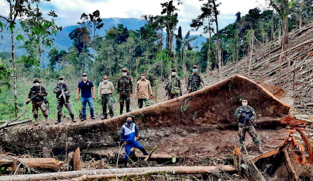 Autoridades constataron daños en el  Bosque de Protección Alto Mayo.