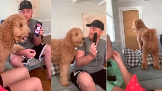 Desliza las imágenes para ver la emotiva reacción que tuvo un perro al escuchar la voz de sus dueños quienes fueron puestos en cuarentena. Foto: RM Videos