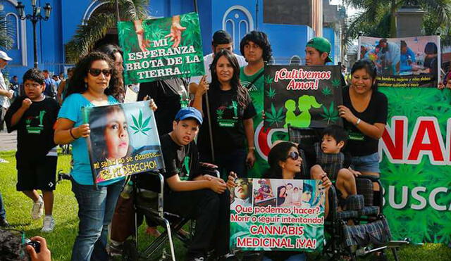 Ejecutivo propone legalizar marihuana para uso médico